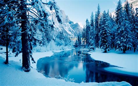 Mafic Winter Orv: A Winter Wonderland for Nature Lovers